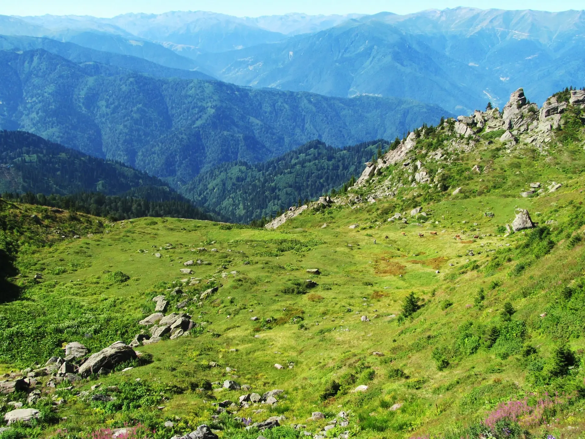 Warwan Trek